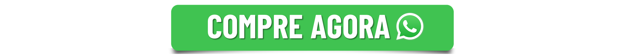 O Melhor Guia de Macéio  (2).png